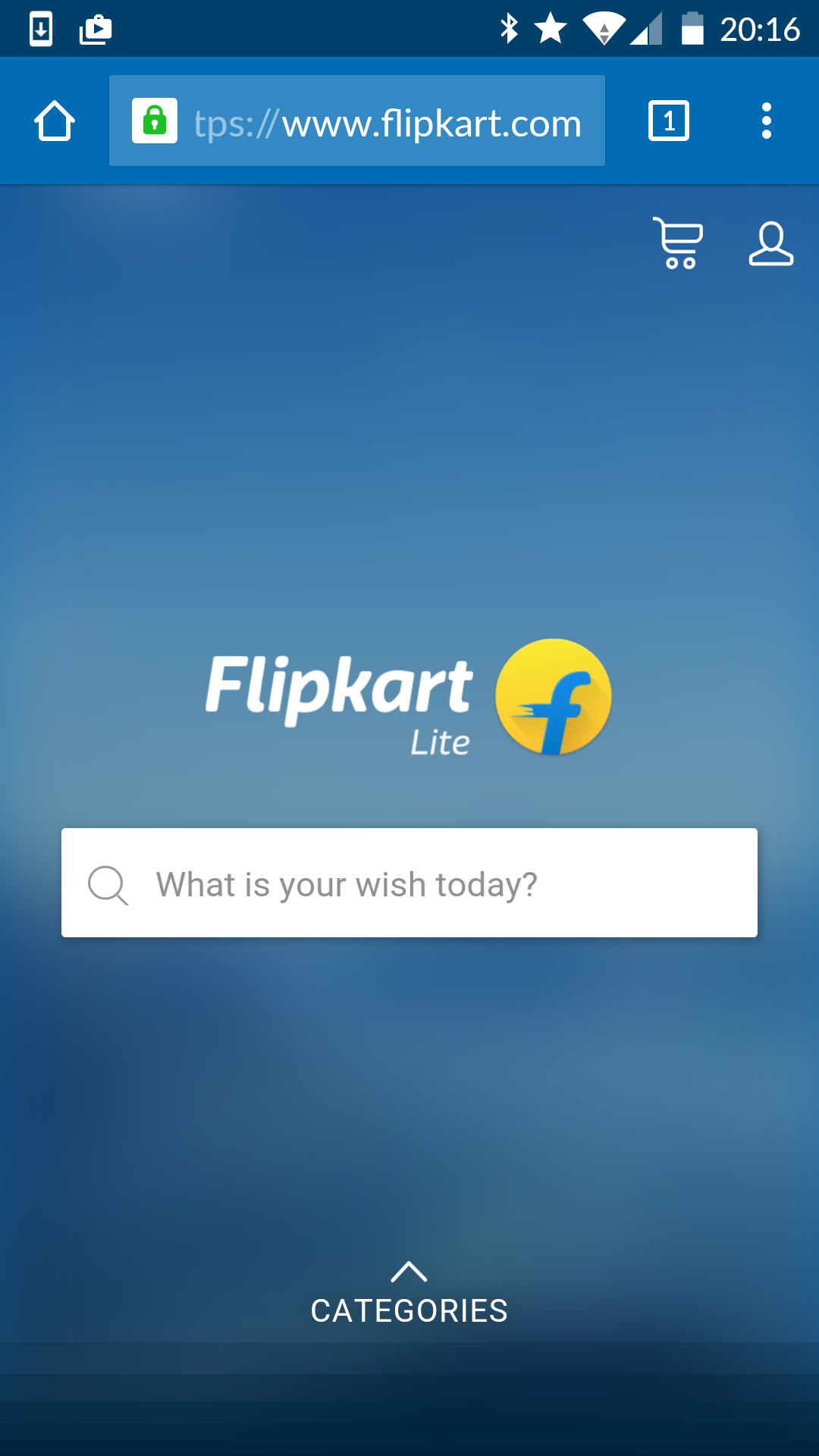 Flipkart theme